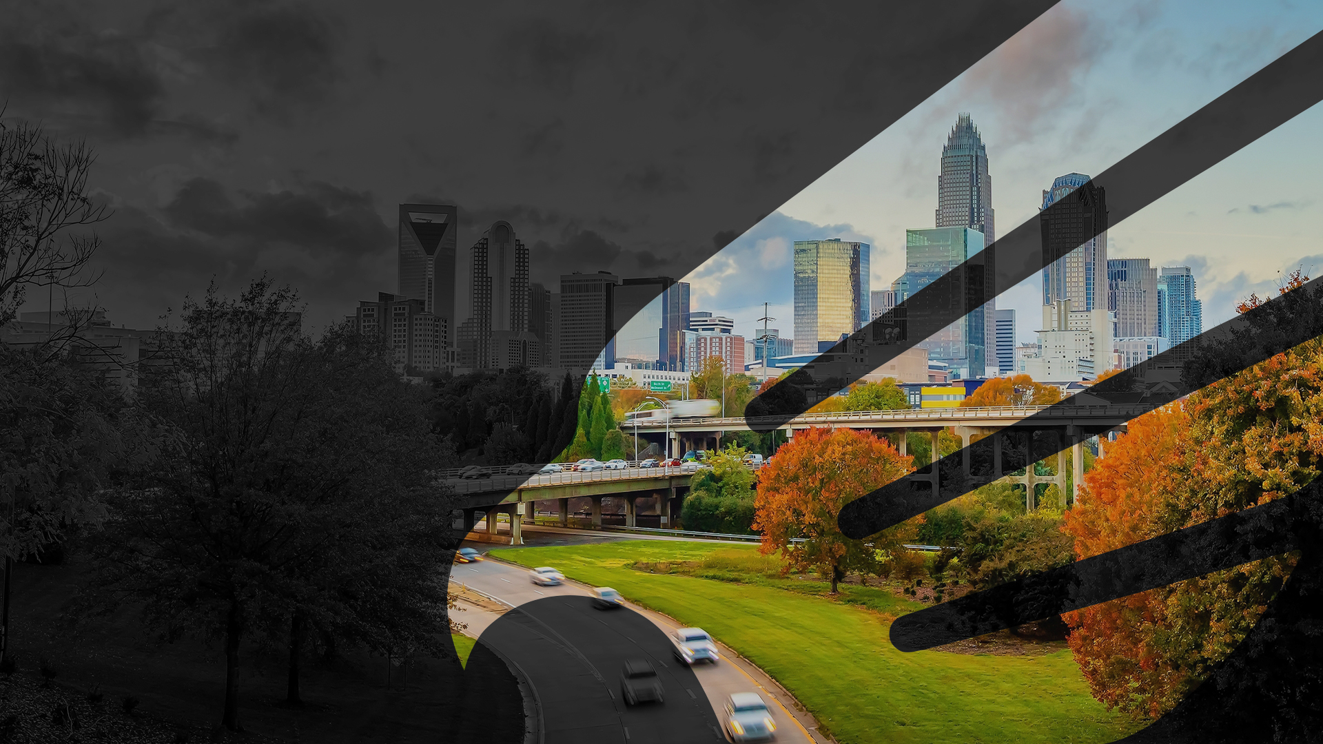 Helping the Community