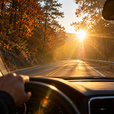 Low sun shining into a driver’s windshield on a tree-lined road